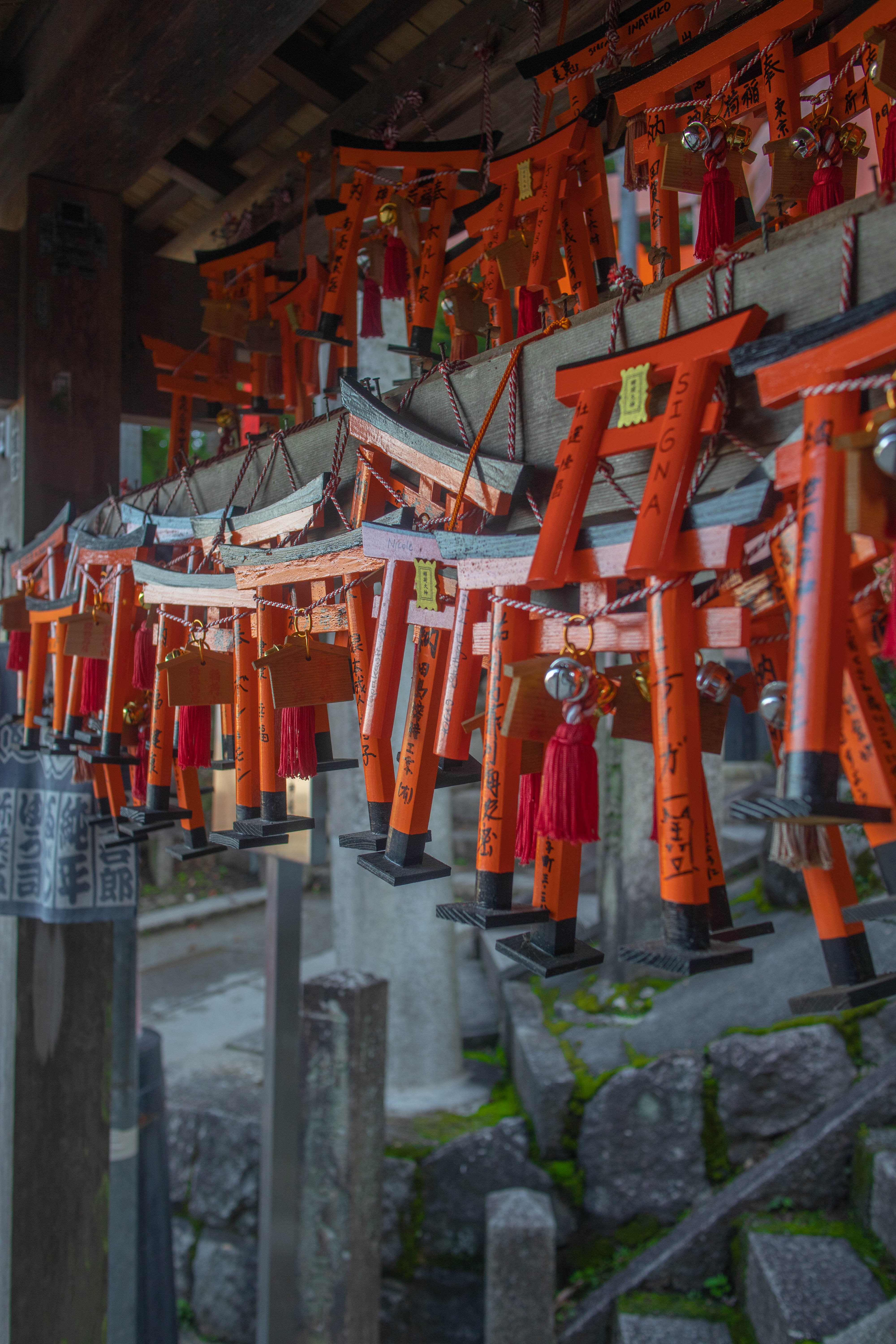 Sorry no alt yet but this is a cool photo.