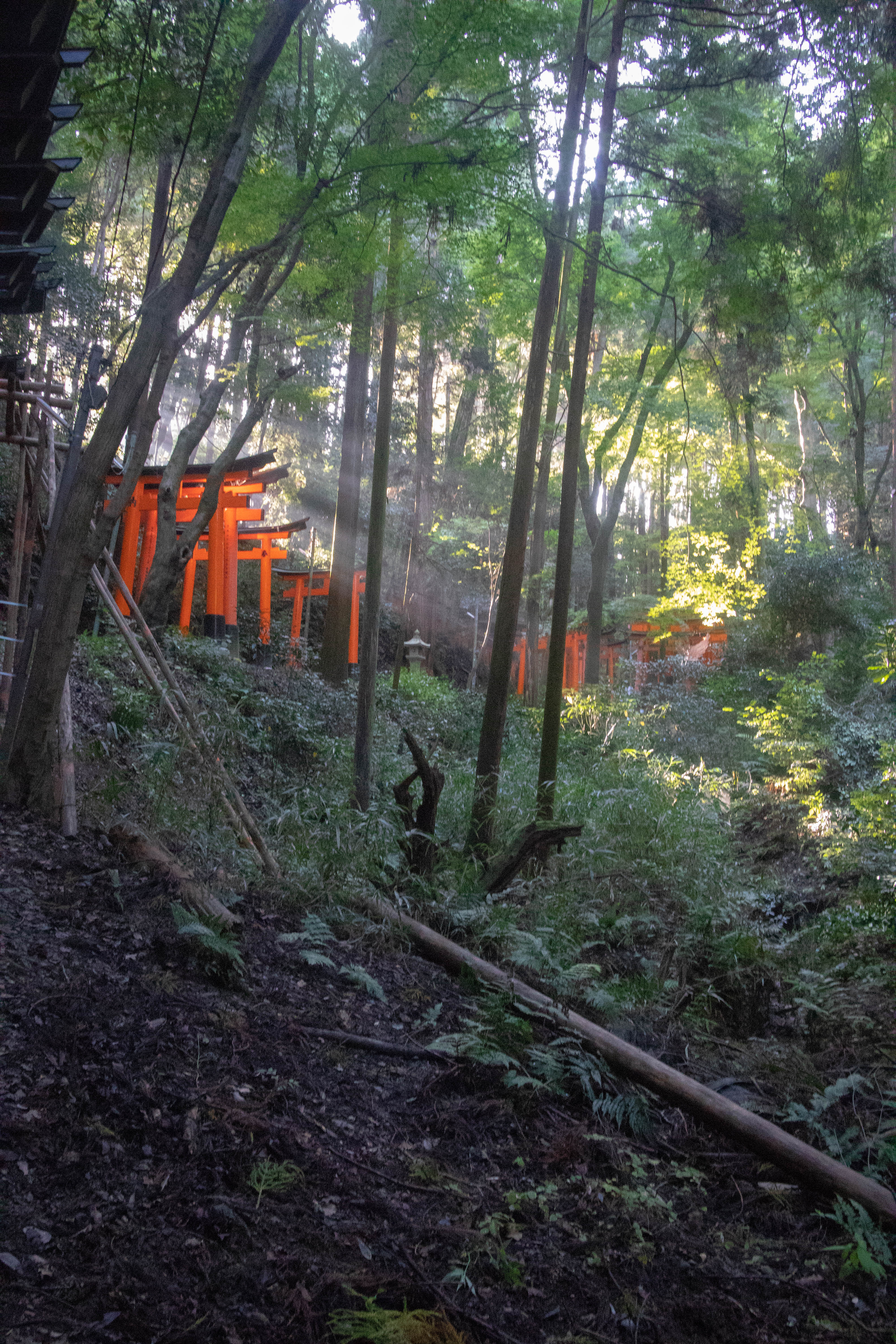 Sorry no alt yet but this is a cool photo.