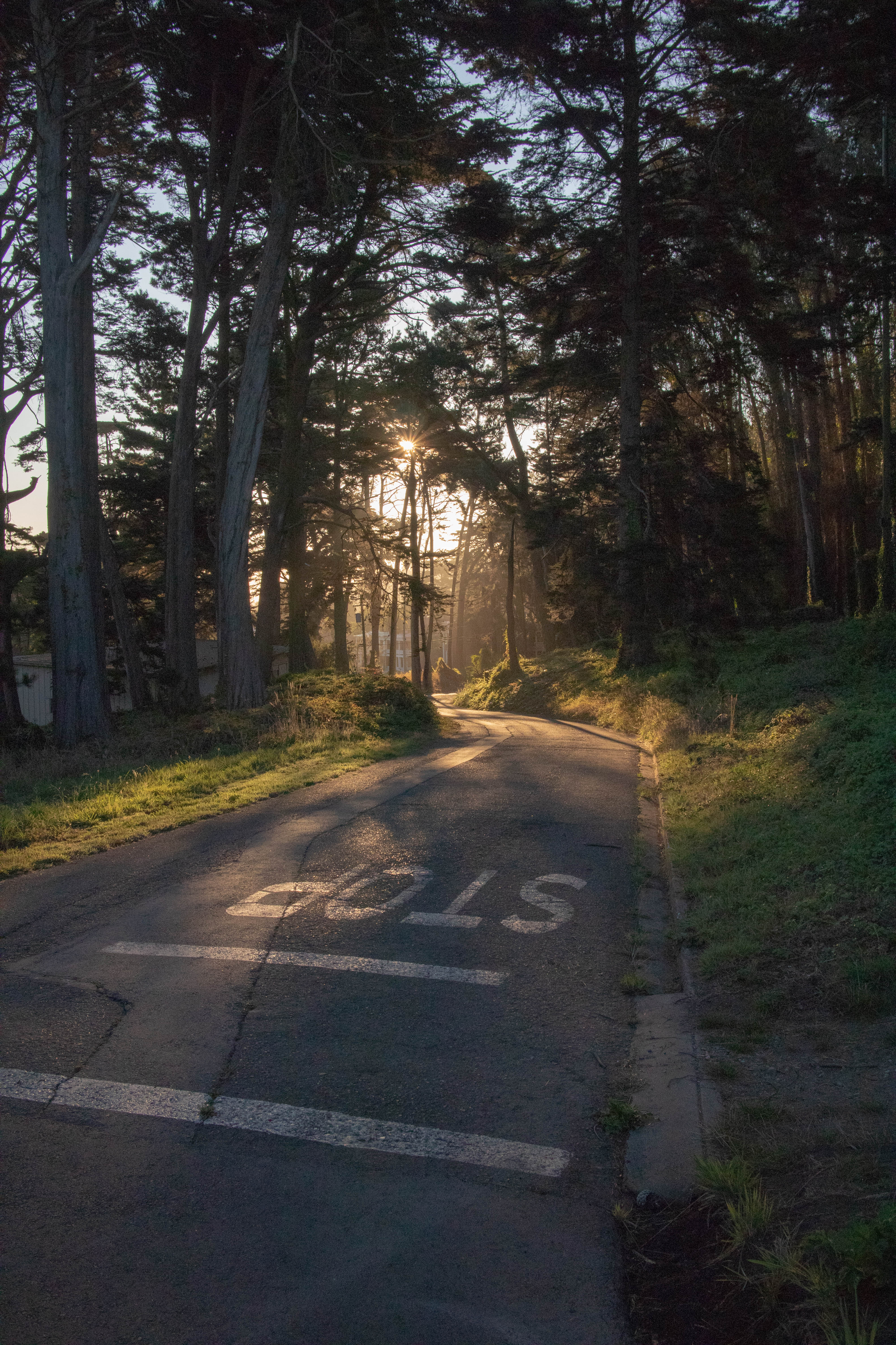 Sorry no alt yet but this is a cool photo.