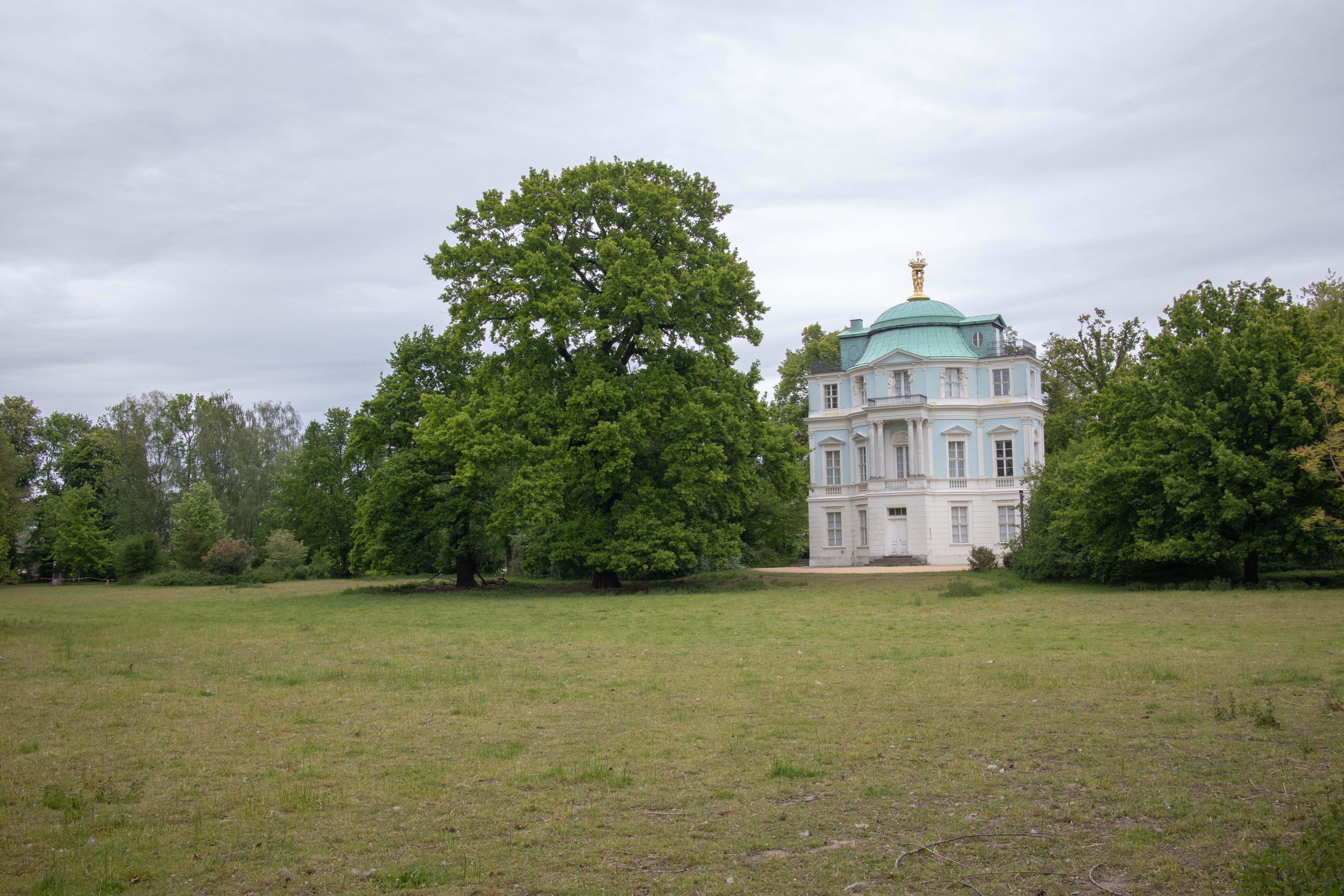 Sorry no alt yet but this is a cool photo.