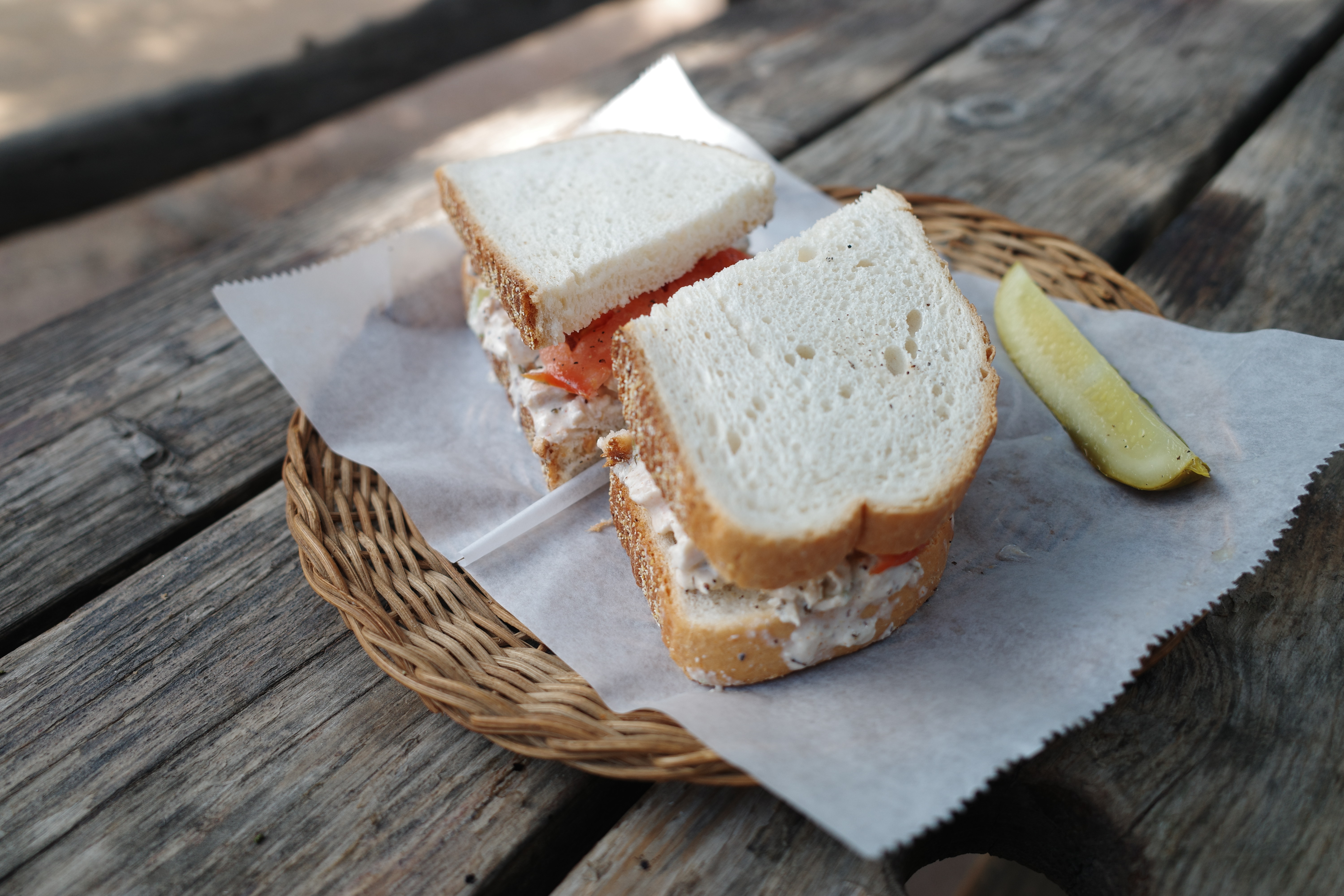 Sorry no alt yet but this is a cool photo.