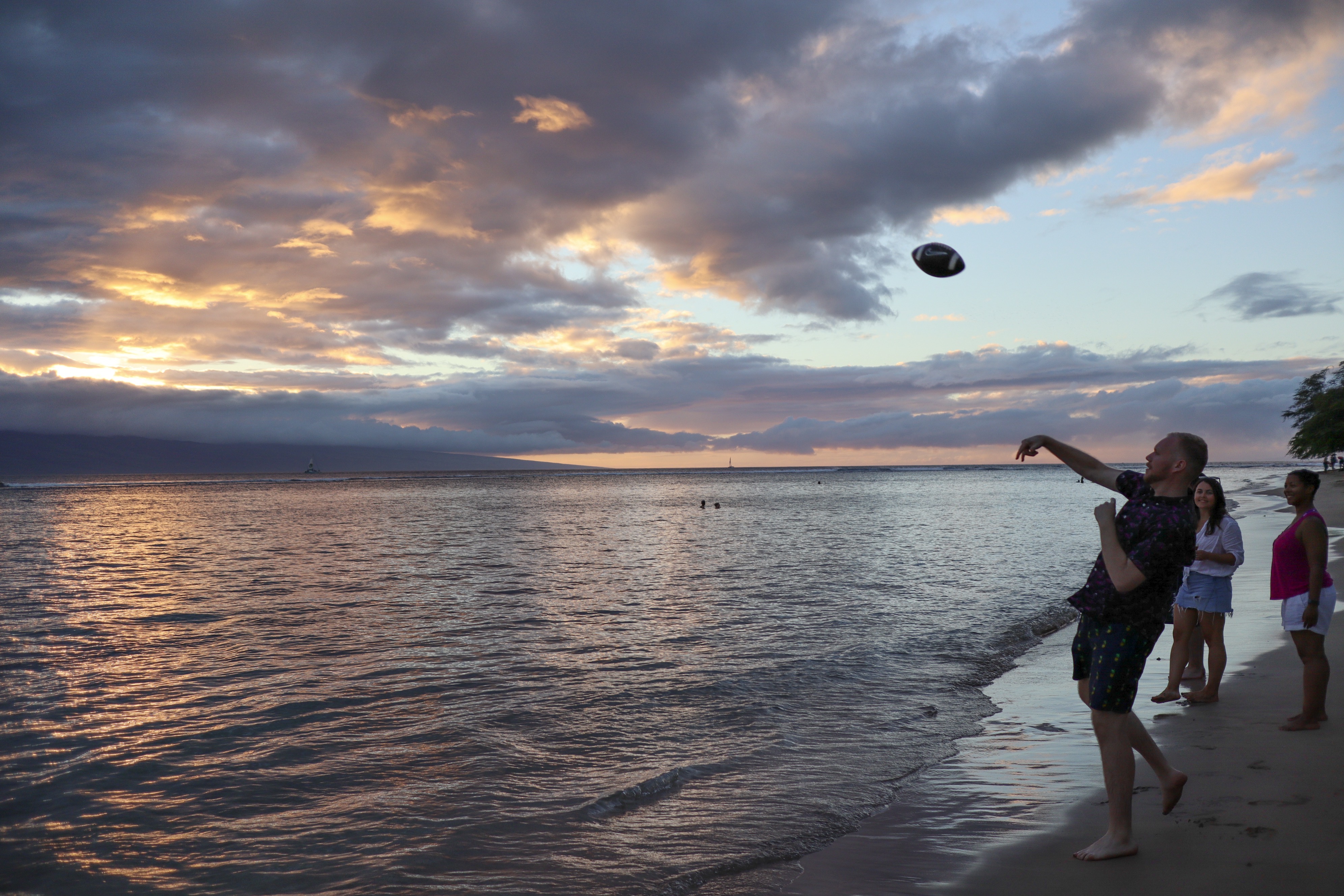 Sorry no alt yet but this is a cool photo.